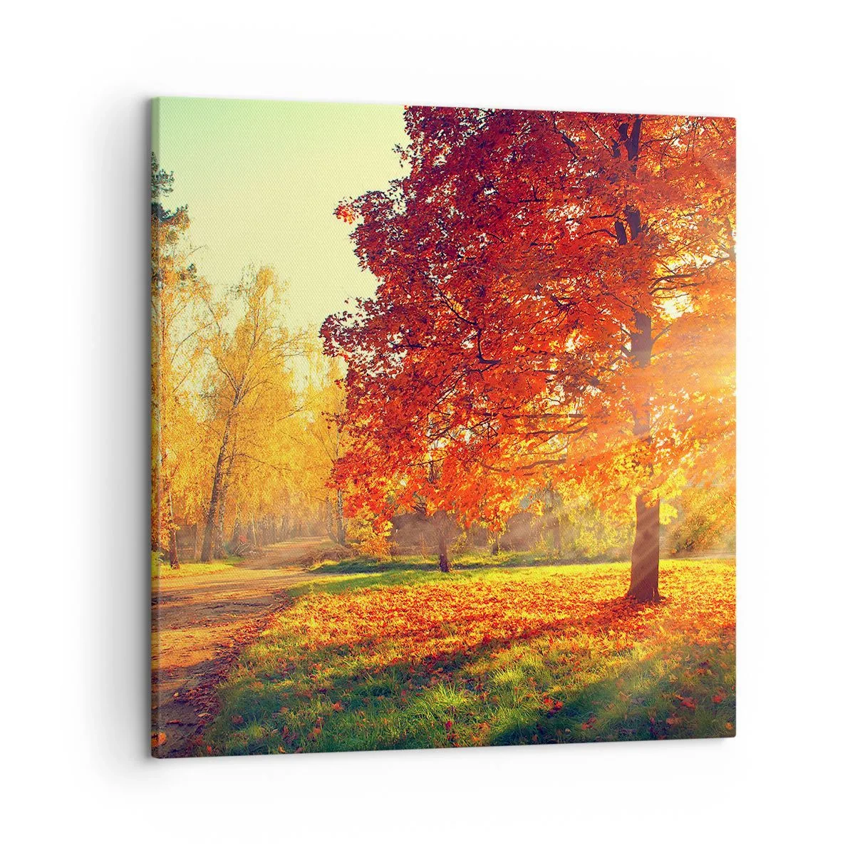Quadro su tela - Stampe su Tela - Rosso è bello - 50x50 cm