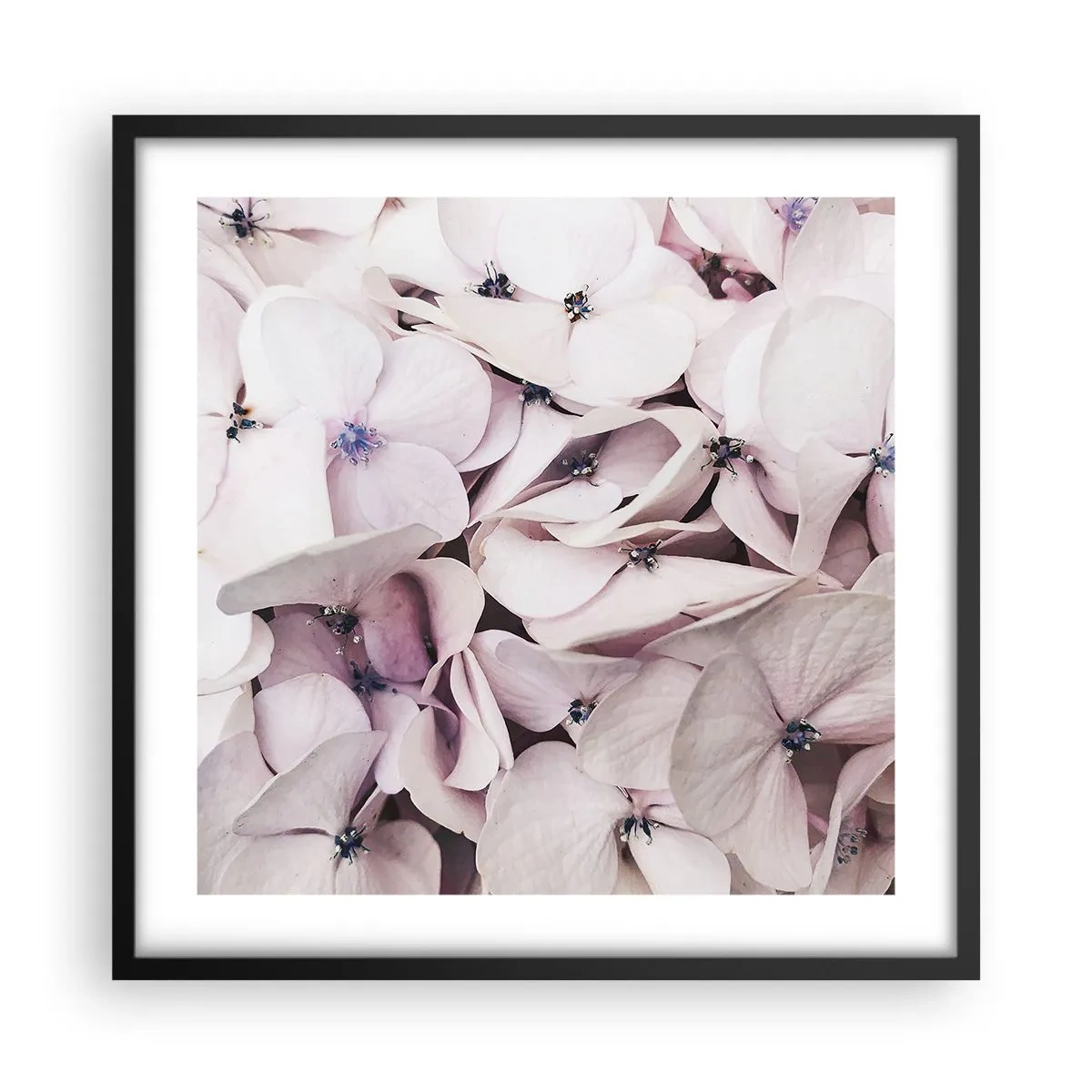 Poster in cornice nera - Un'alluvione di fiori - 50x50 cm