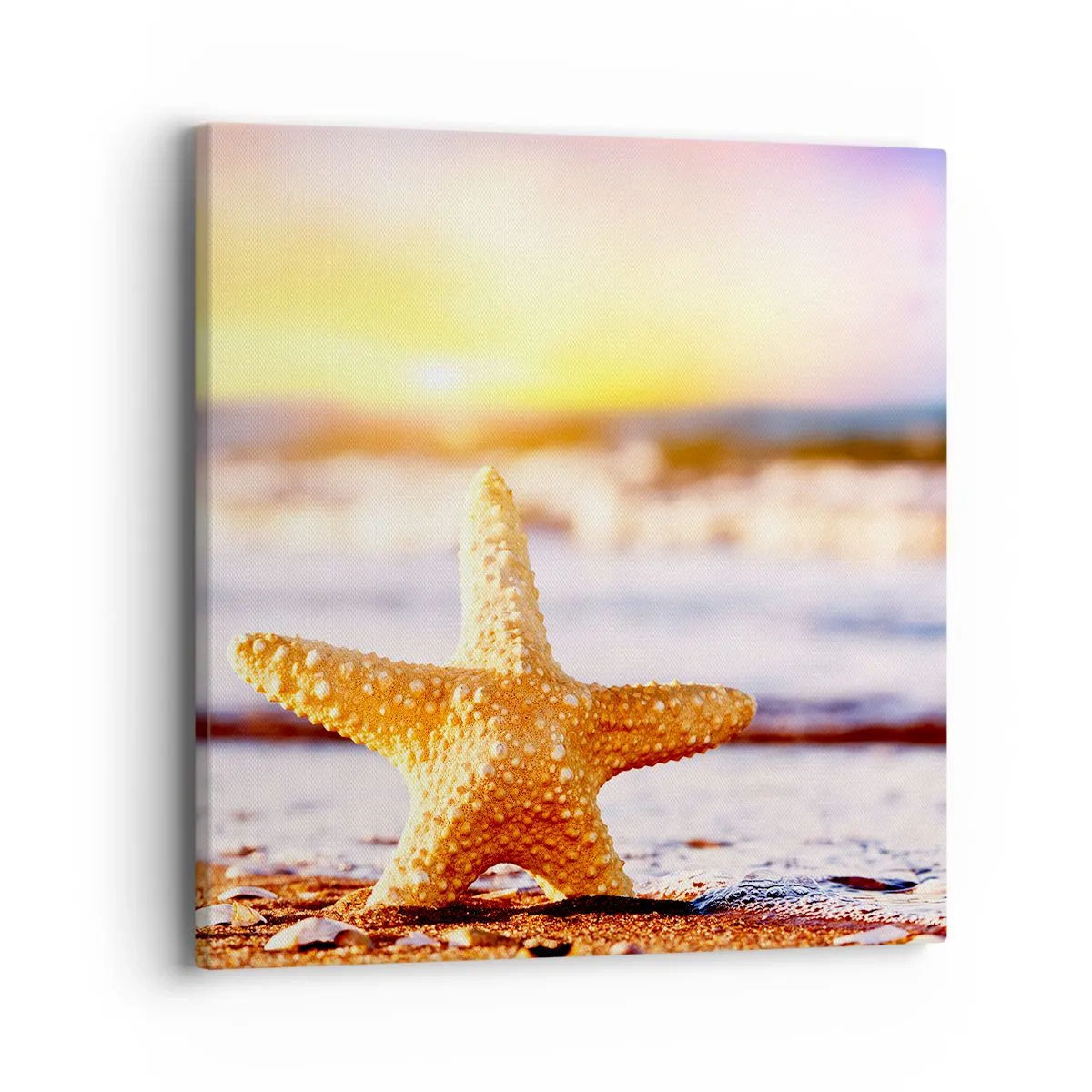 Quadro su tela - Stampe su Tela - Regalo del mare - 40x40 cm