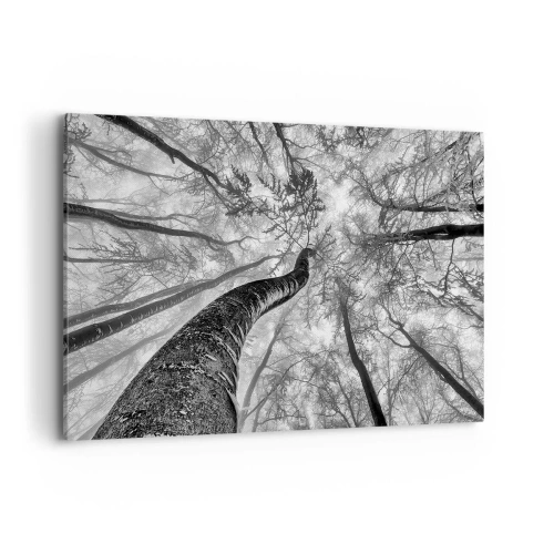 Quadro su tela - Stampe su Tela - Prospettiva degli alberi in una foresta visti dal basso in tonalità di grigio - 120x80cm - La corsa verso la luce - Decorazione murale moderna per soggiorno e camera da letto ARTTOR