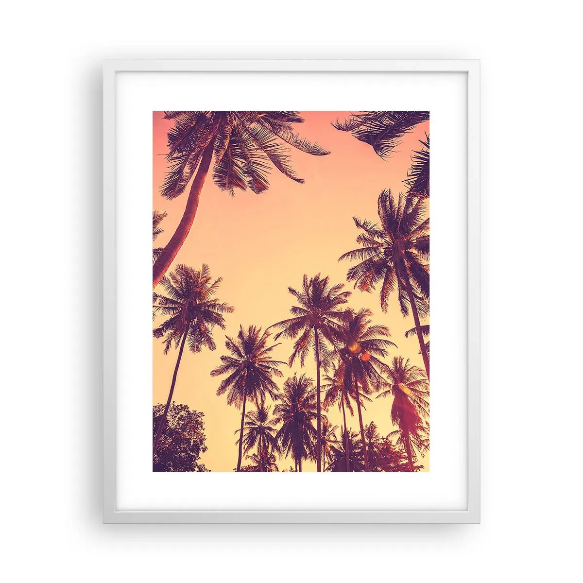 Poster in cornice bianca - Composizione tropicale - 40x50 cm