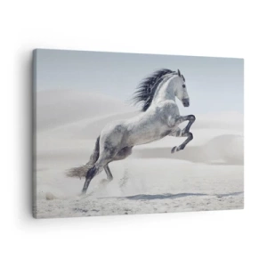 Quadro su tela - Stampe su Tela - Un cavallo bianco al galoppo sullo sfondo delle dune del deserto - 70x50cm - Il principe arabo - Decorazione murale moderna per soggiorno e camera da letto ARTTOR