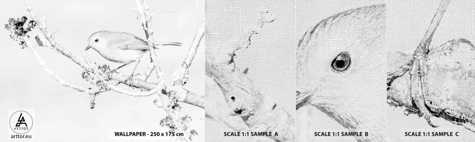Campione di Fotomurale Premium Canvas - Mattino invernale - Luminoso, Uccello, Natura - 100x30 cm