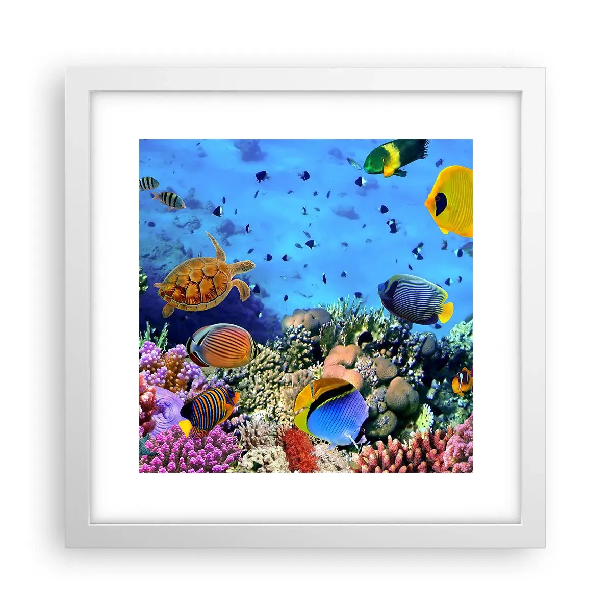 Poster in cornice bianca - Ma cosa sappiamo della vita... - 30x30 cm