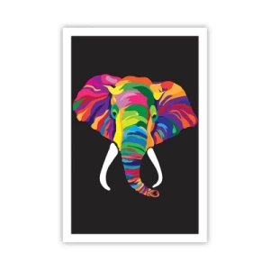 Poster - L'elefante che faceva il bagno nell'arcobaleno - 61x91 cm