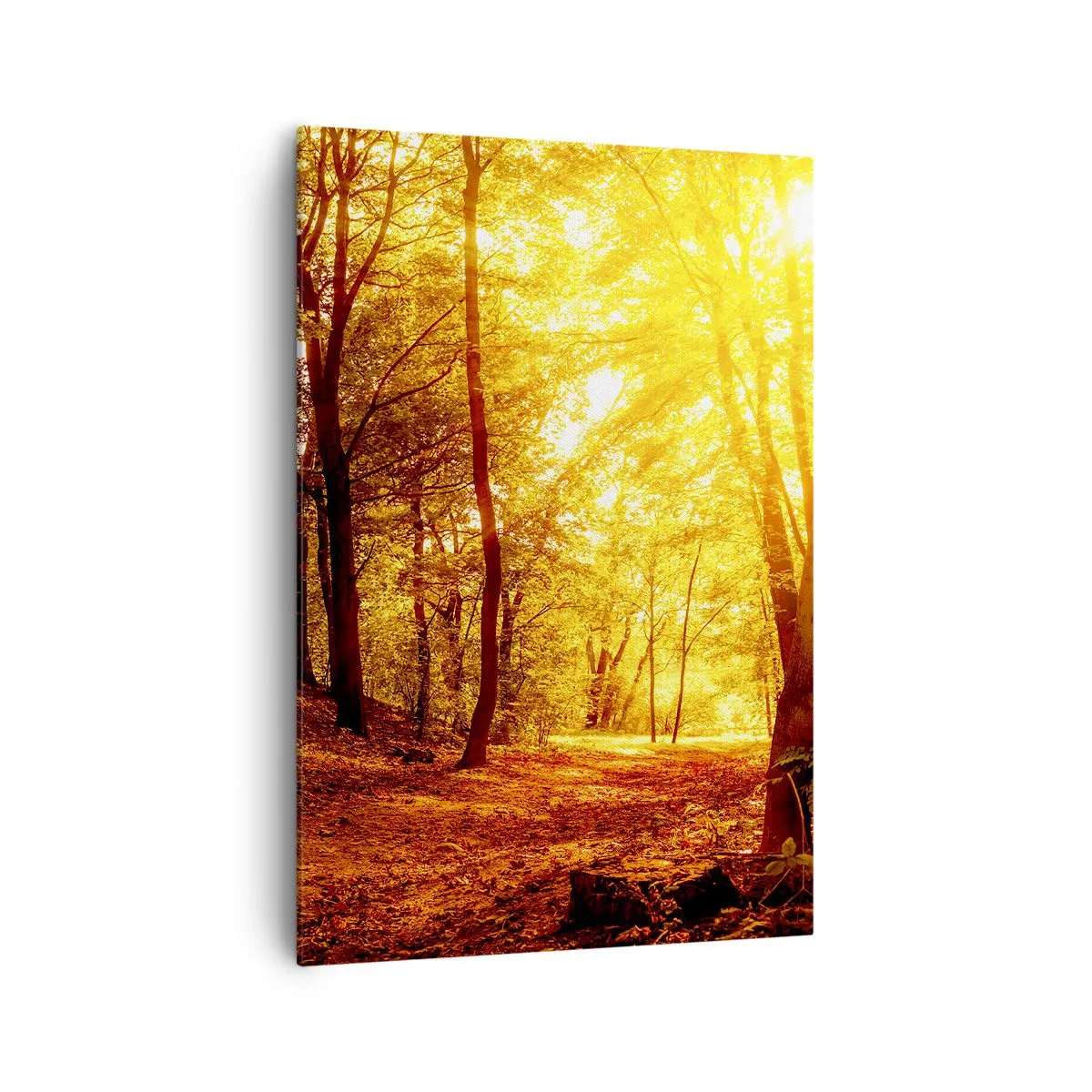 Quadro su tela - Stampe su Tela - Radura autunnale alla luce dorata del sole con un sentiero nel bosco - 70x100cm - Verso la radura dorata - Decorazione murale moderna per soggiorno e camera da letto ARTTOR