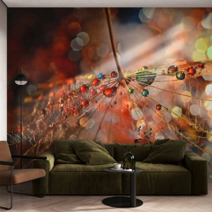 Fotomurali Standard Eco - Macrofotografia di gocce di rugiada su una foglia delicata - 100x70cm - Posate sulla ragnatela - Decorazione murale moderna per soggiorno e camera da letto ARTTOR