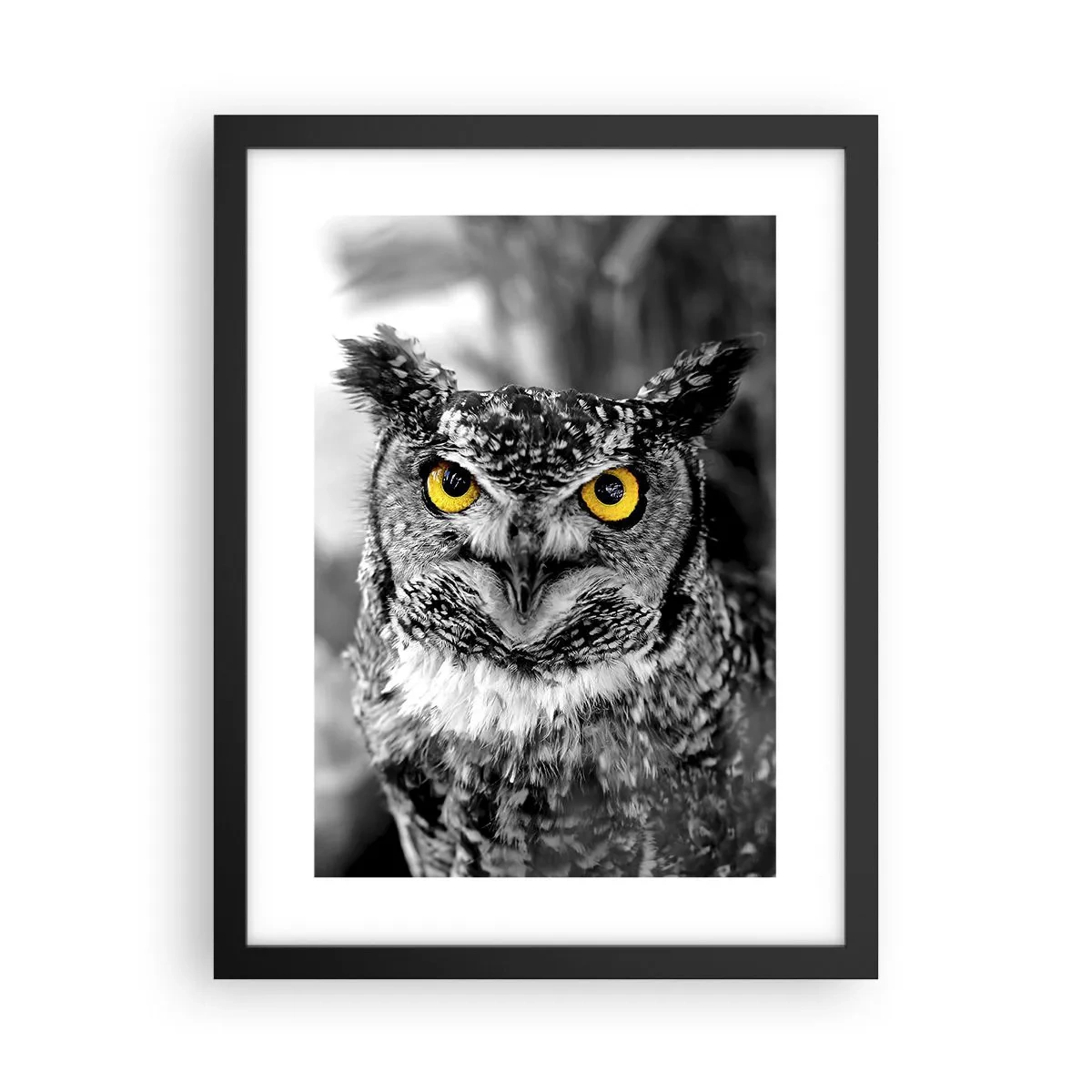 Poster in cornice nera - Non si può nascondere niente - 30x40 cm