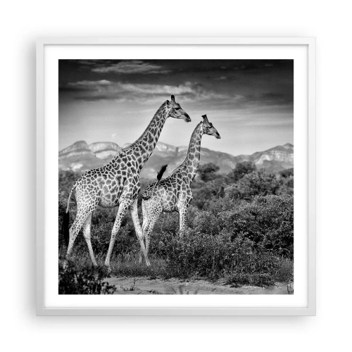 Poster in cornice bianca - Alta classe in Africa - 60x60 cm