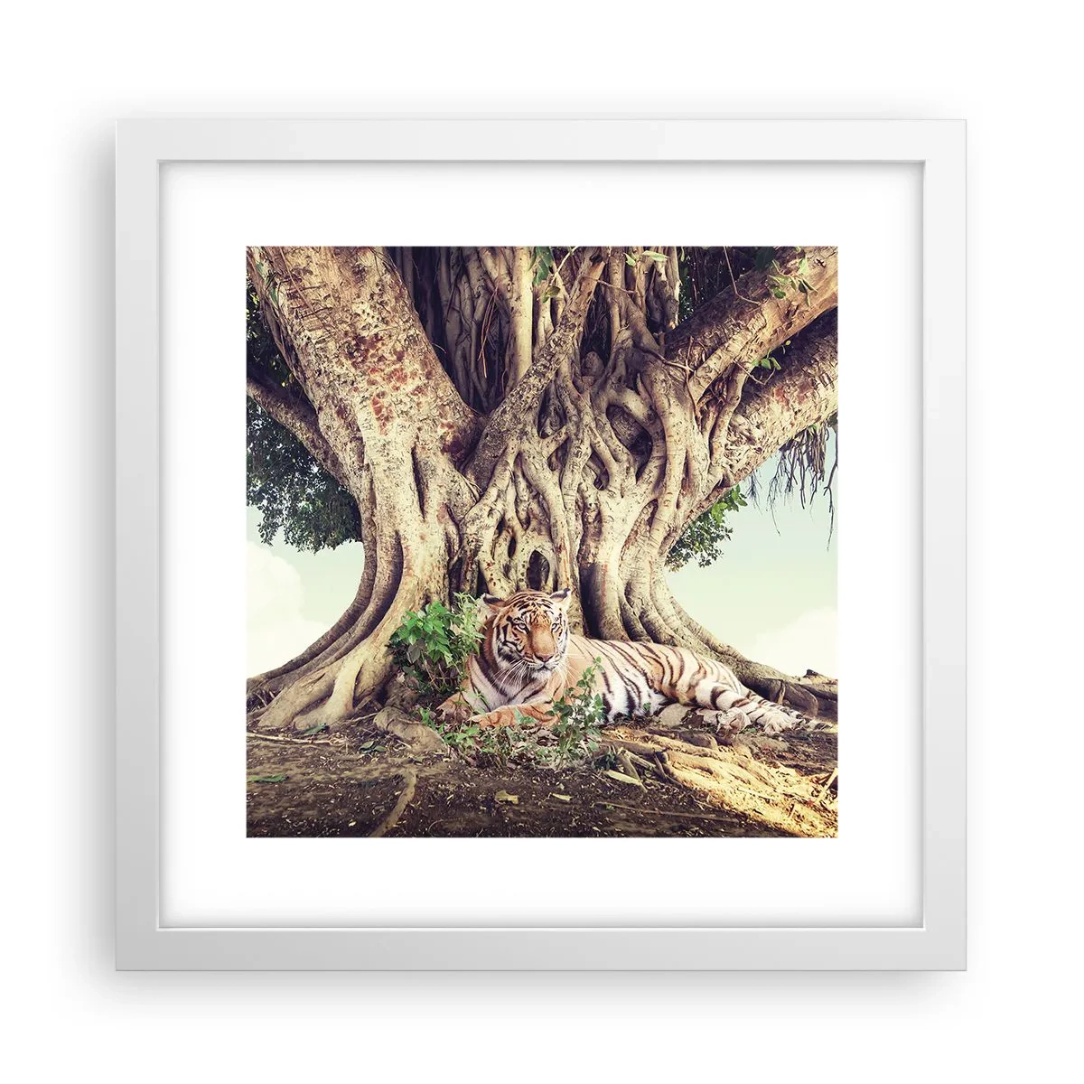 Poster in cornice bianca - Vista dal Libro della Genesi - 30x30 cm