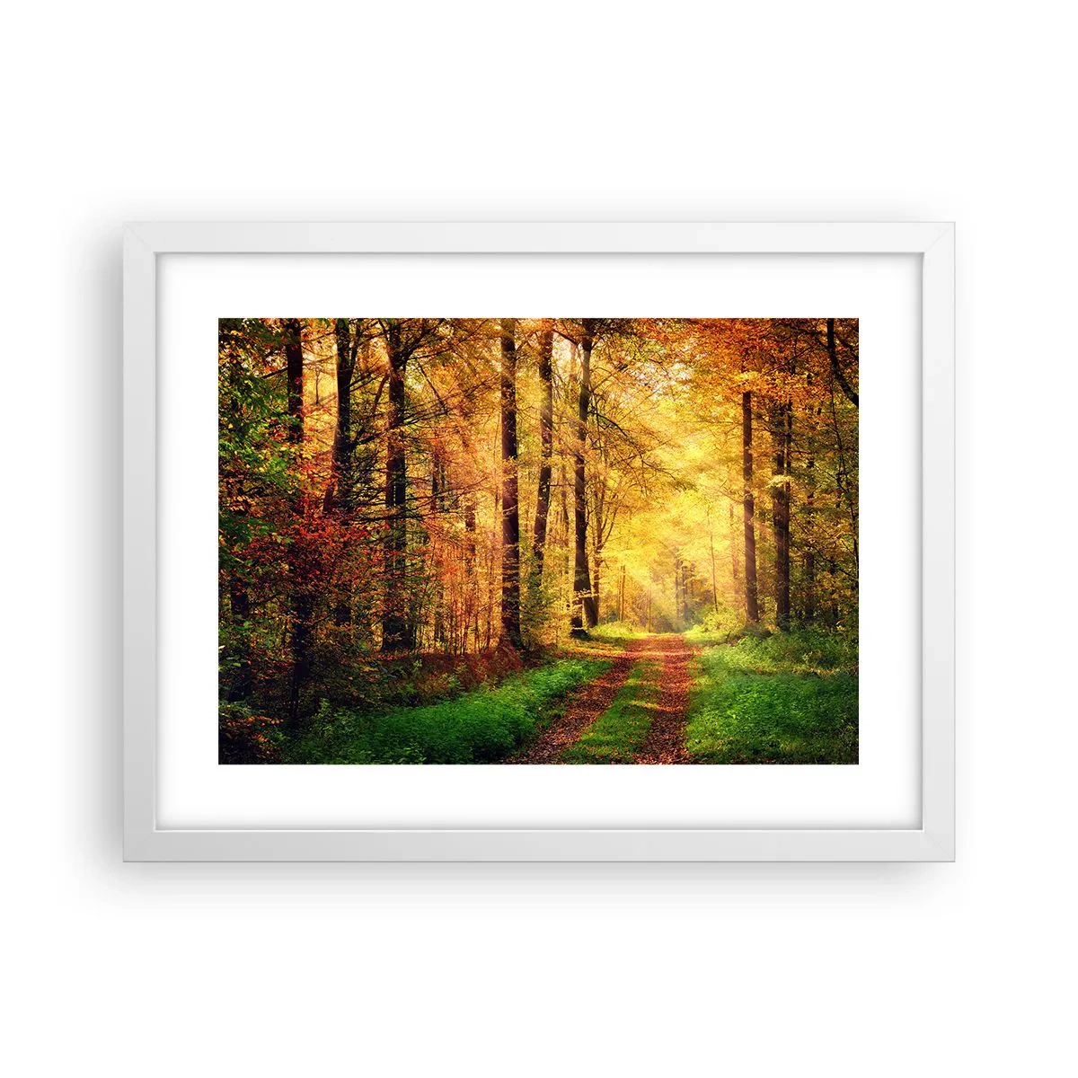 Poster in cornice bianca - Il silenzio d'oro del bosco - 40x30 cm
