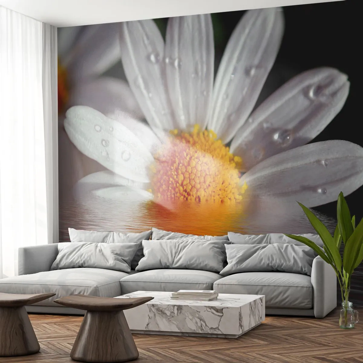 Fotomurali Premium Sand - L'alba della margherita - Fiore, Camomilla, Natura - 100x70 cm