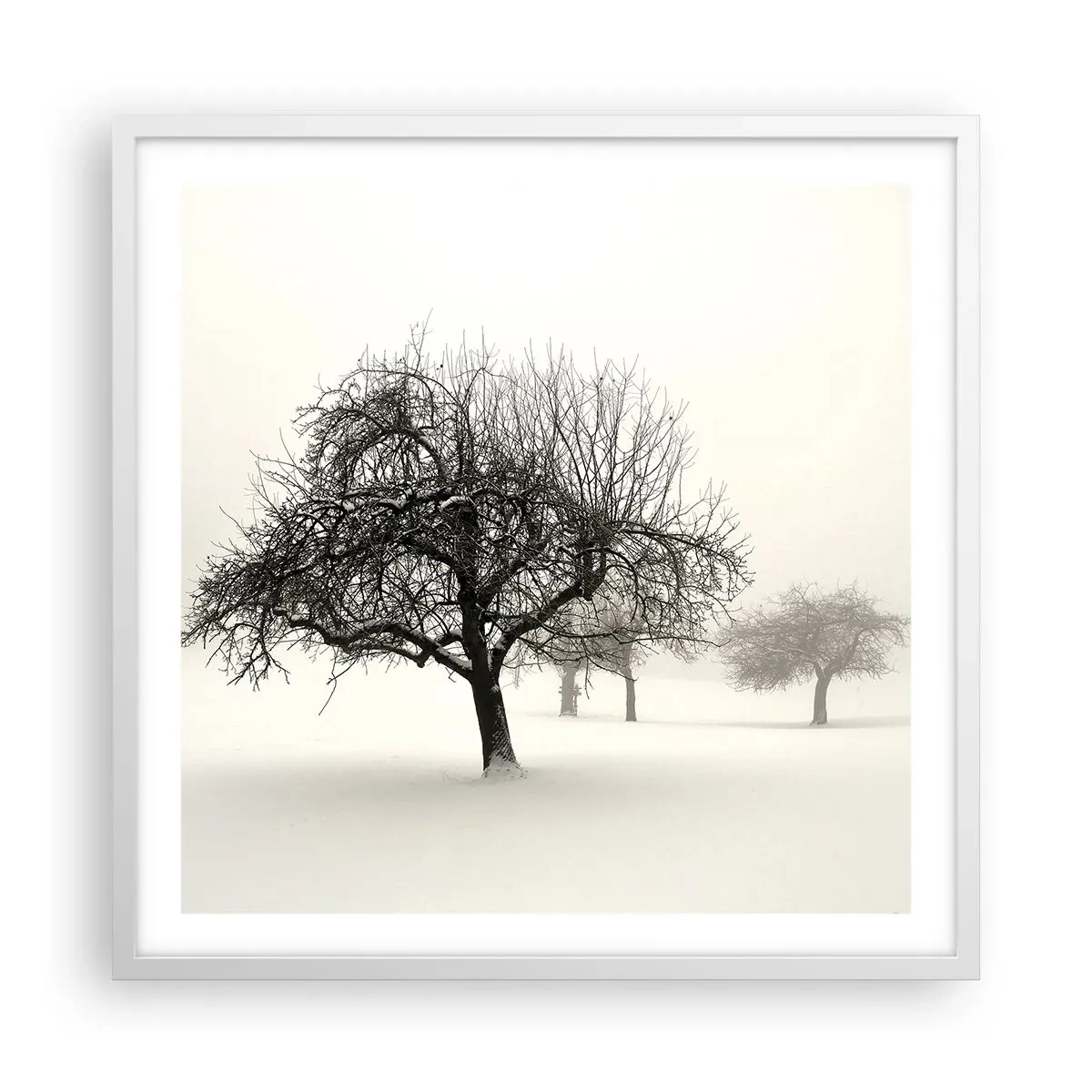 Poster in cornice bianca - Sogno invernale - 60x60 cm