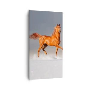 Quadro su tela - Stampe su Tela - Grazia danzante - 65x120 cm