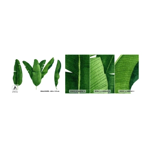 Campione Di Fotomurale Standard Eco - Simmetria verde - Foglia di banana, Tropicale, Stile botanico - 100x30 cm