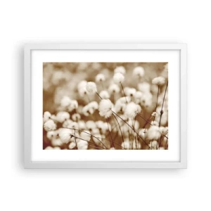 Poster in cornice bianca - Campo di morbidezza - 40x30 cm