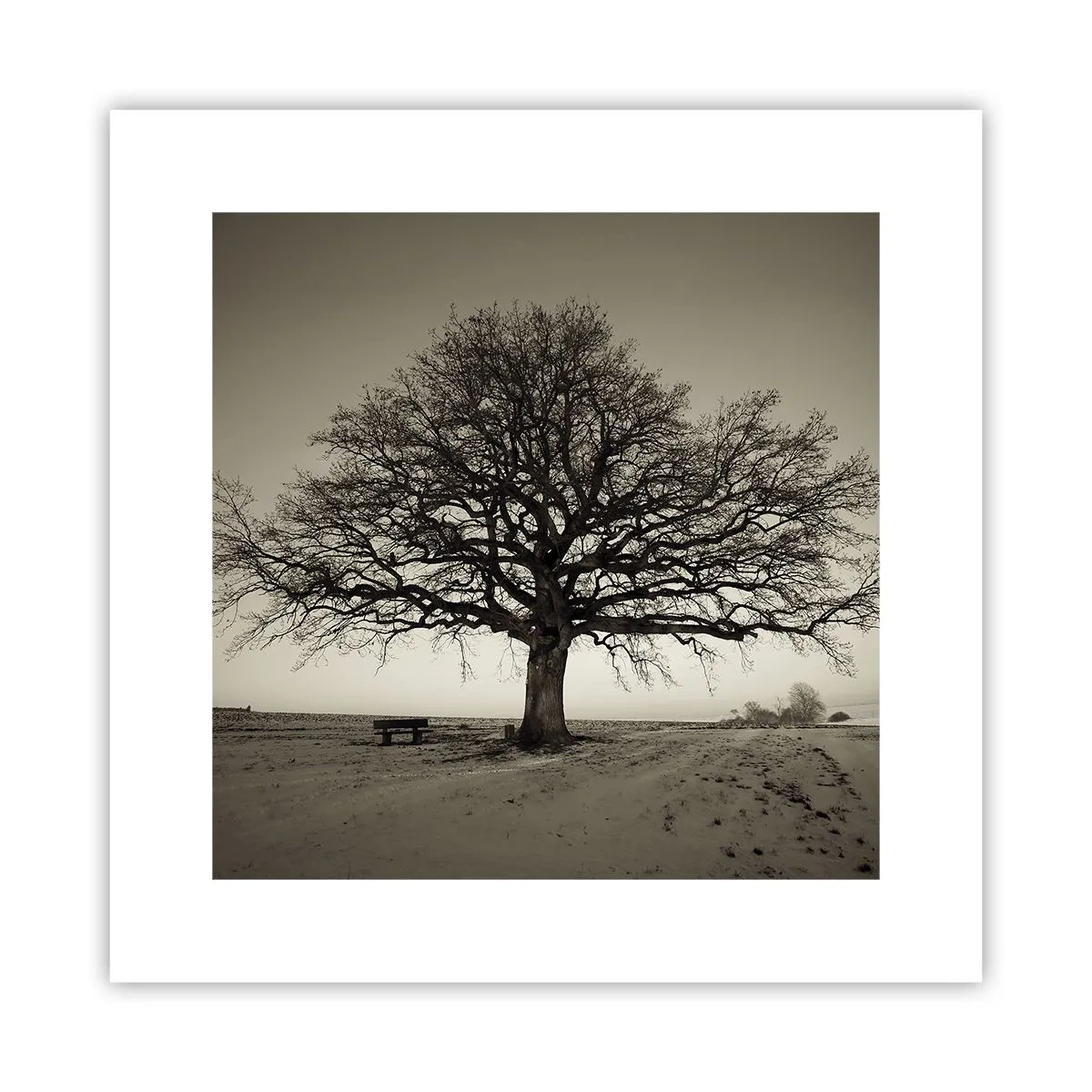 Poster - Da qui all'eternità - 30x30 cm