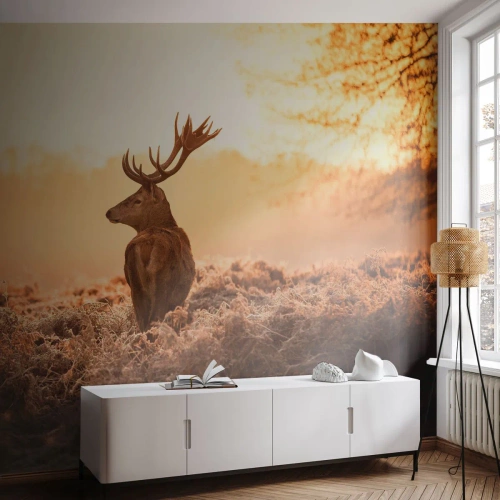 Fotomurali Premium Sand - Il signore sulle sue terre - Paesaggio, Cervo, Animali - 150x105 cm