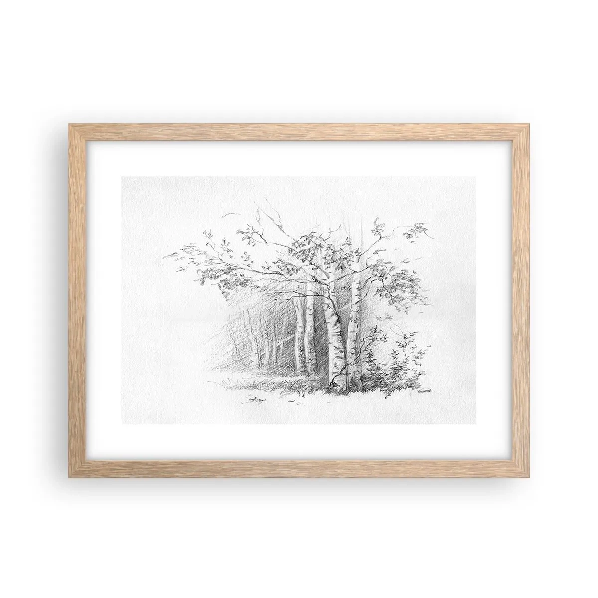 Poster in cornice rovere chiaro - La luce della foresta di betulle - 40x30 cm