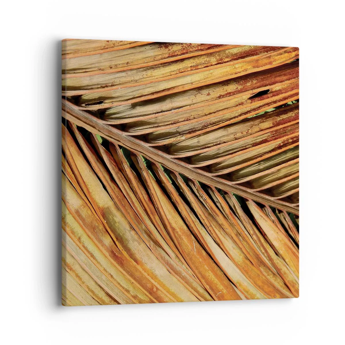 Quadro su tela - Stampe su Tela - Oro di cocco - 40x40 cm