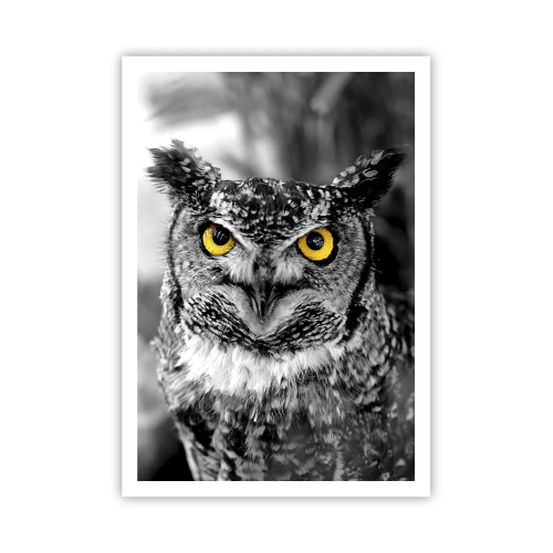 Poster - Non si può nascondere niente - 70x100 cm