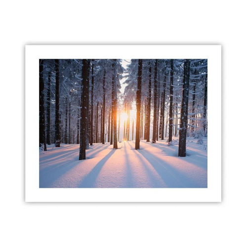 Poster - Decisamente nero su bianco - 50x40 cm