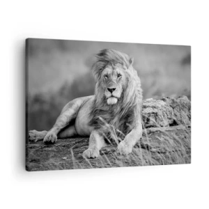 Quadro su tela - Stampe su Tela - Leone appoggiato su una roccia in stile monocromatico - 70x50cm - La siesta del re - Decorazione murale moderna per soggiorno e camera da letto ARTTOR
