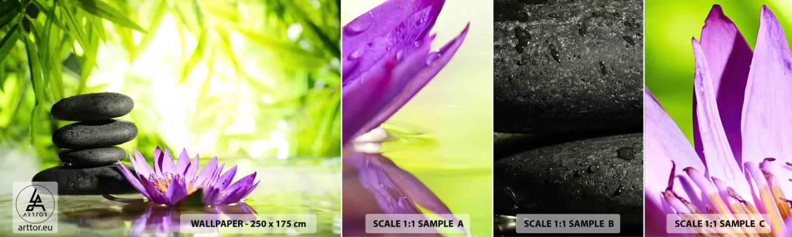 Campione Di Fotomurale Standard Eco - In un cespuglio di bambù - Fiore, fiore di loto, Bambù - 100x30 cm