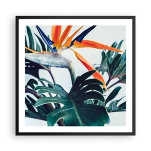 Poster in cornice nera - Pianta uccello - 60x60 cm