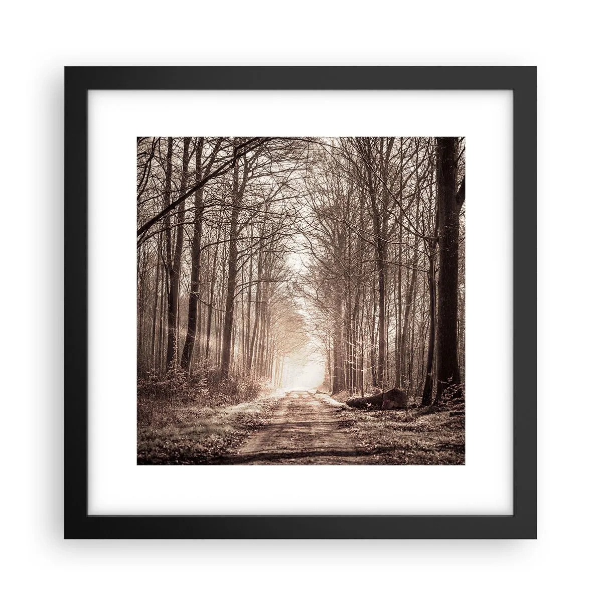 Poster in cornice nera - La cattedrale del bosco - 30x30 cm