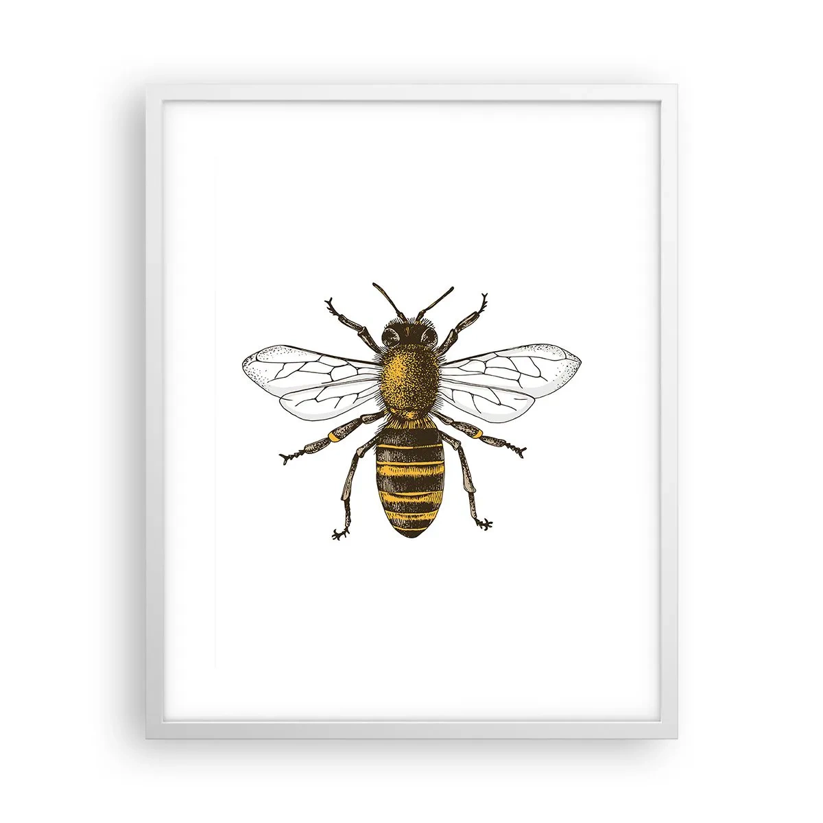 Poster in cornice bianca - Bella e buona - 40x50 cm