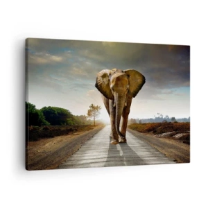 Quadro su tela - Stampe su Tela - Un elefante che cammina lungo una strada attraverso un paesaggio al tramonto - 70x50cm - E non nel negozio di cristalli - Decorazione murale moderna per soggiorno e camera da letto ARTTOR