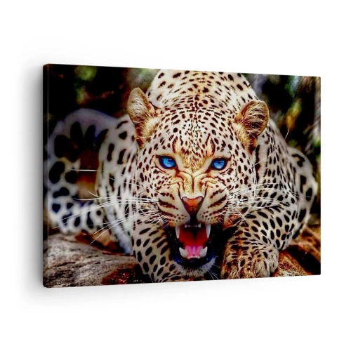 Quadro su tela - Stampe su Tela - Un leopardo minaccioso con intensi occhi blu - 70x50cm - La rabbia non rovina la bellezza - Decorazione murale moderna per soggiorno e camera da letto ARTTOR