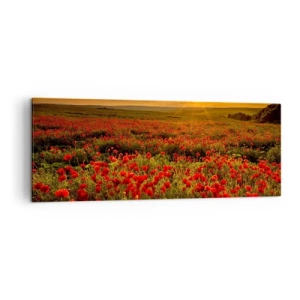Quadro su tela - Stampe su Tela - Un campo di papaveri rossi al chiarore del sole al tramonto - 140x50cm - Tra il fruscio delle erbe, in un'esplosione di fiori - Decorazione murale moderna per soggiorno e camera da letto ARTTOR
