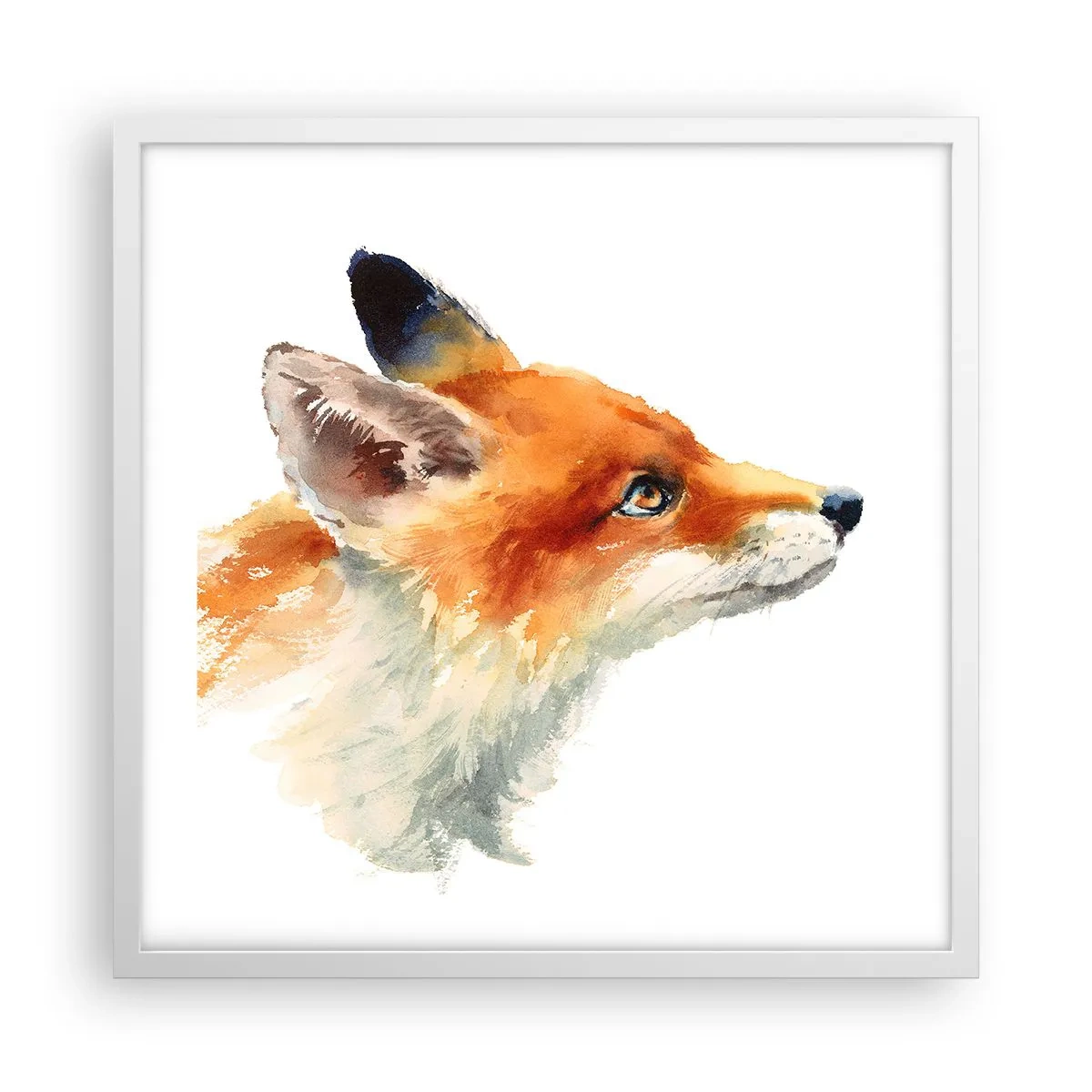 Poster in cornice bianca - La prudenza non è mai troppa - 50x50 cm