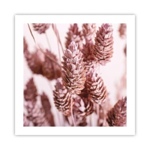 Poster - A prima vista poco appariscenti - 50x50 cm