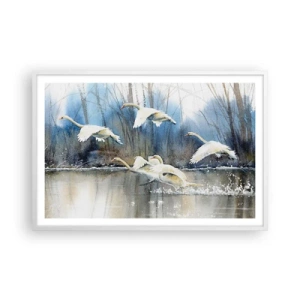 Poster in cornice bianca - Come la favola dei cigni selvatici - 91x61 cm