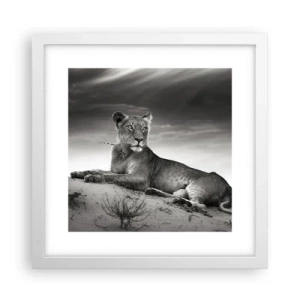 Poster in cornice bianca - Il riposo della regina del deserto - 30x30 cm