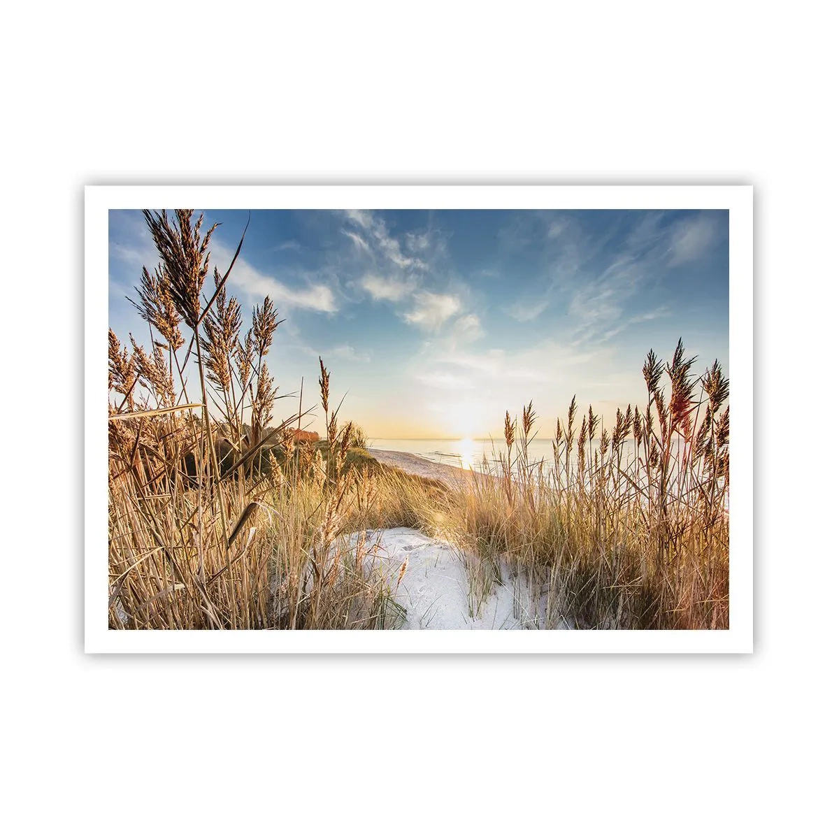 Poster - Una spiaggia pittoresca con erba e il sole al tramonto - 100x70cm - Spiaggia del nord - Decorazione murale moderna per soggiorno e camera da letto ARTTOR