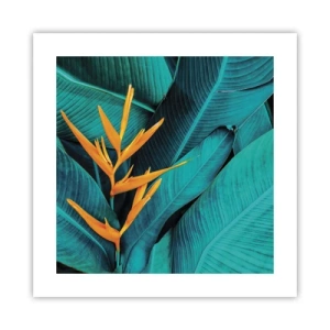 Poster - Il fiore dell'Eden - 40x40 cm