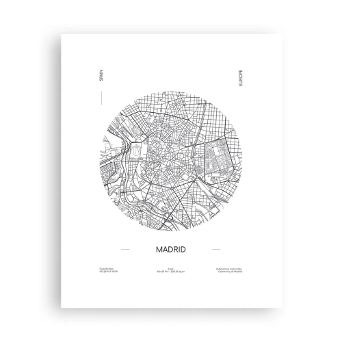 Poster - Anatomia di Madrid - 40x50 cm
