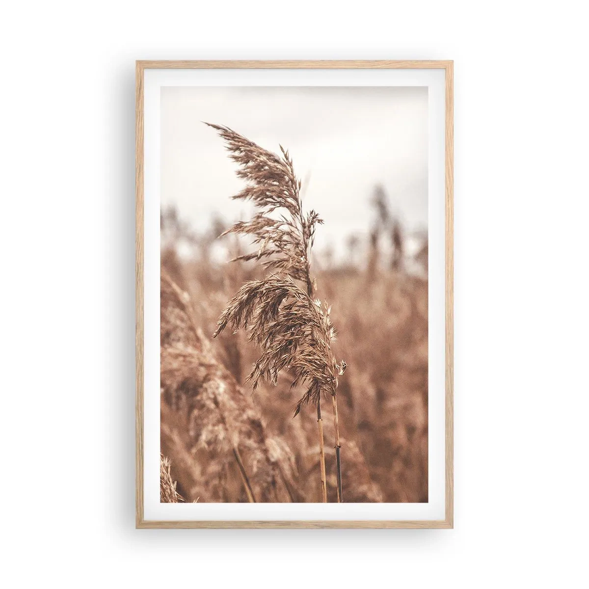 Poster in cornice rovere chiaro - Nei campi è già autunno - 61x91 cm