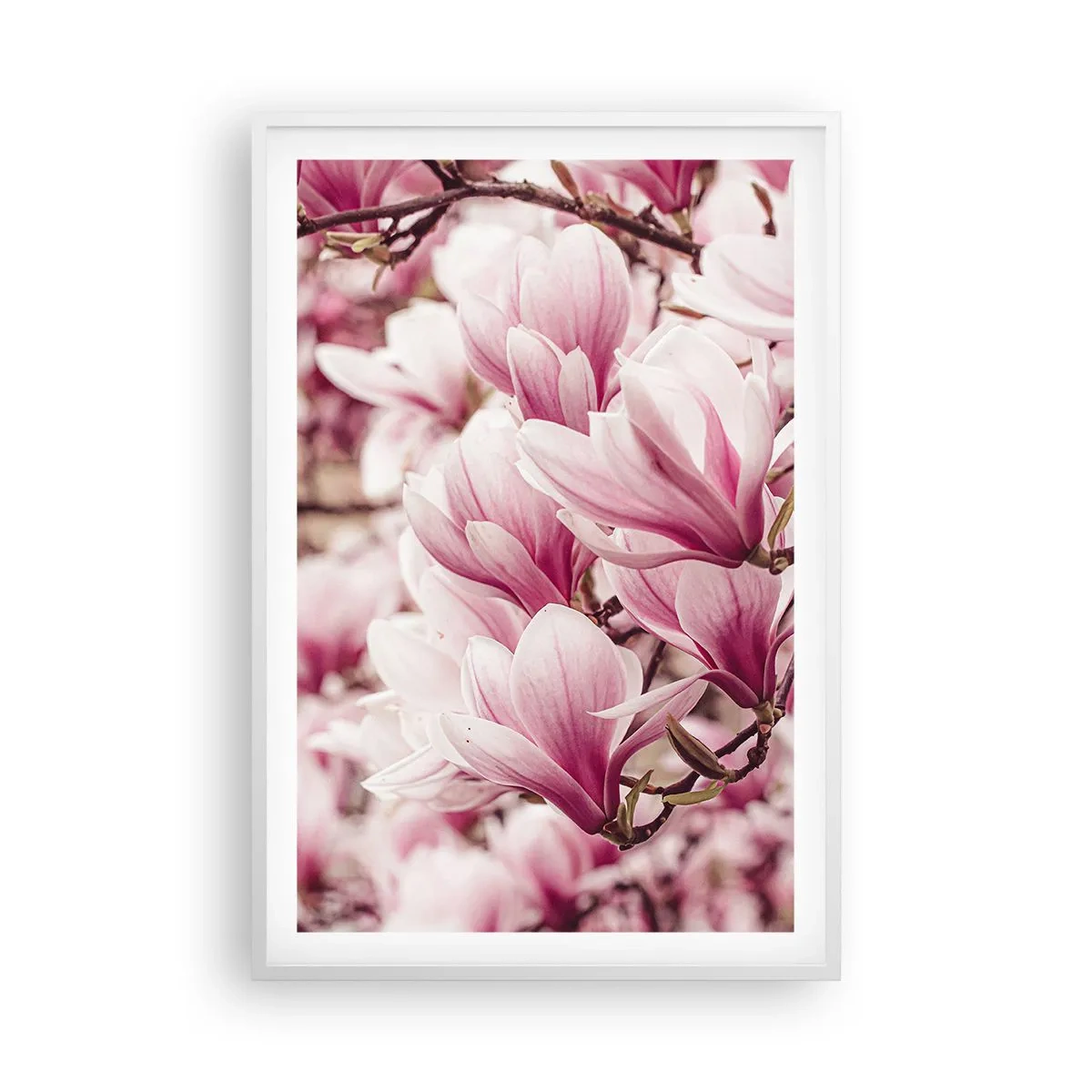 Poster in cornice bianca - La primavera è rosa - 61x91 cm