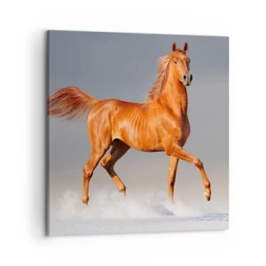 Quadro su tela - Stampe su Tela - Grazia danzante - 60x60 cm