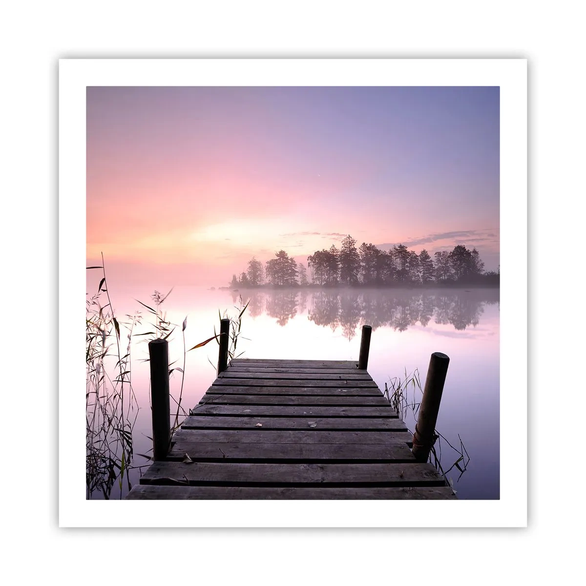 Poster - Nebbia color lilla - 60x60 cm