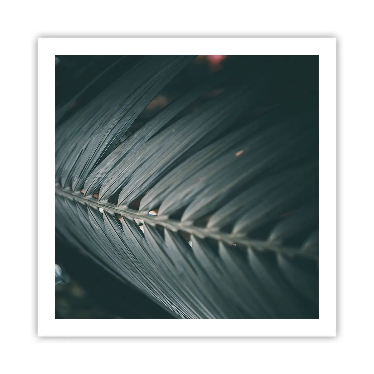 Poster - La precisione della natura - 60x60 cm