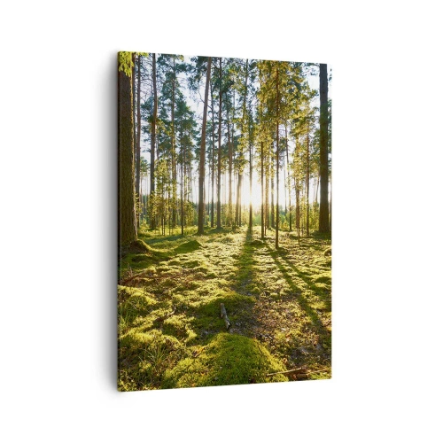 Quadro su tela - Stampe su Tela - Foresta verde illuminata dalla luce del sole sul muschio - 50x70cm - …dopo sette foreste - Decorazione murale moderna per soggiorno e camera da letto ARTTOR