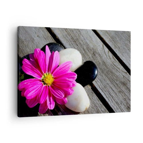 Quadro su tela - Stampe su Tela - Fiore rosa su uno sfondo di assi di legno con pietre - 70x50cm - Riposo sul molo - Decorazione murale moderna per soggiorno e camera da letto ARTTOR