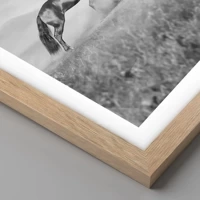 Rovere chiaro