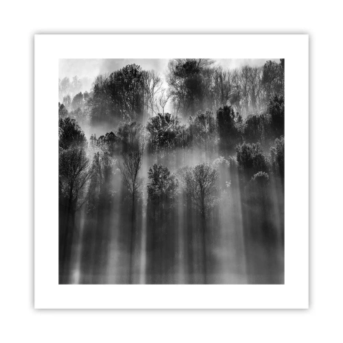 Poster - Nei getti di luce - 40x40 cm
